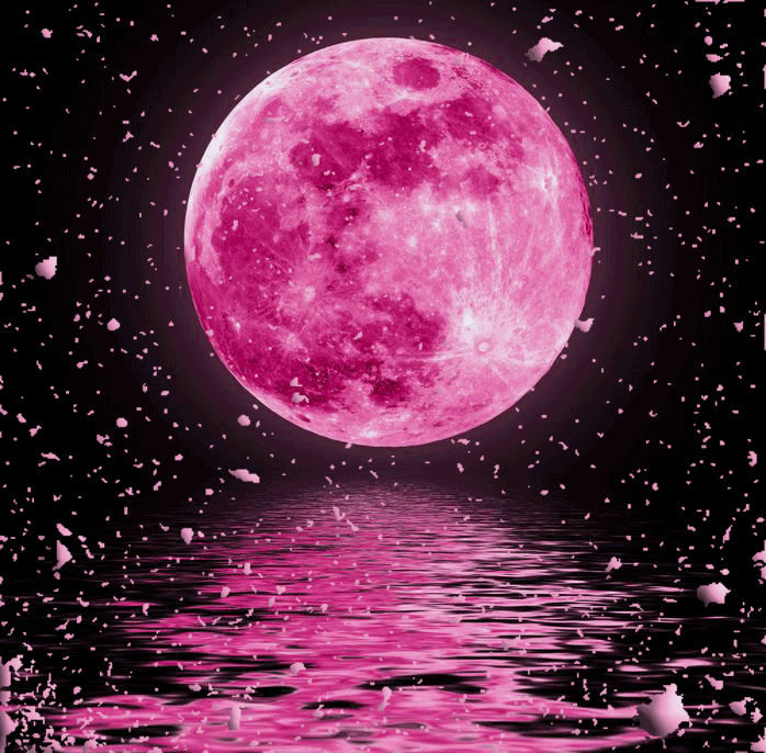 pink_moon_by_dizzymaverick-d95oa0m.gif